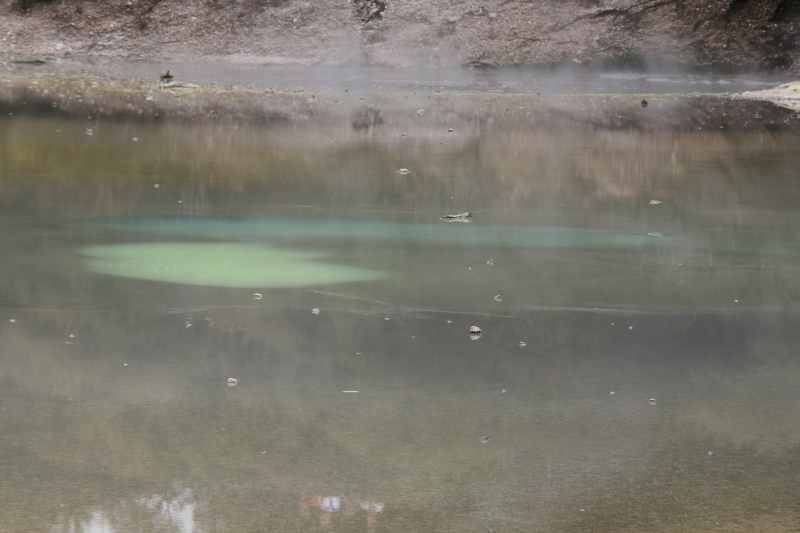 Nieuw-Zeeland 2011 - 0756